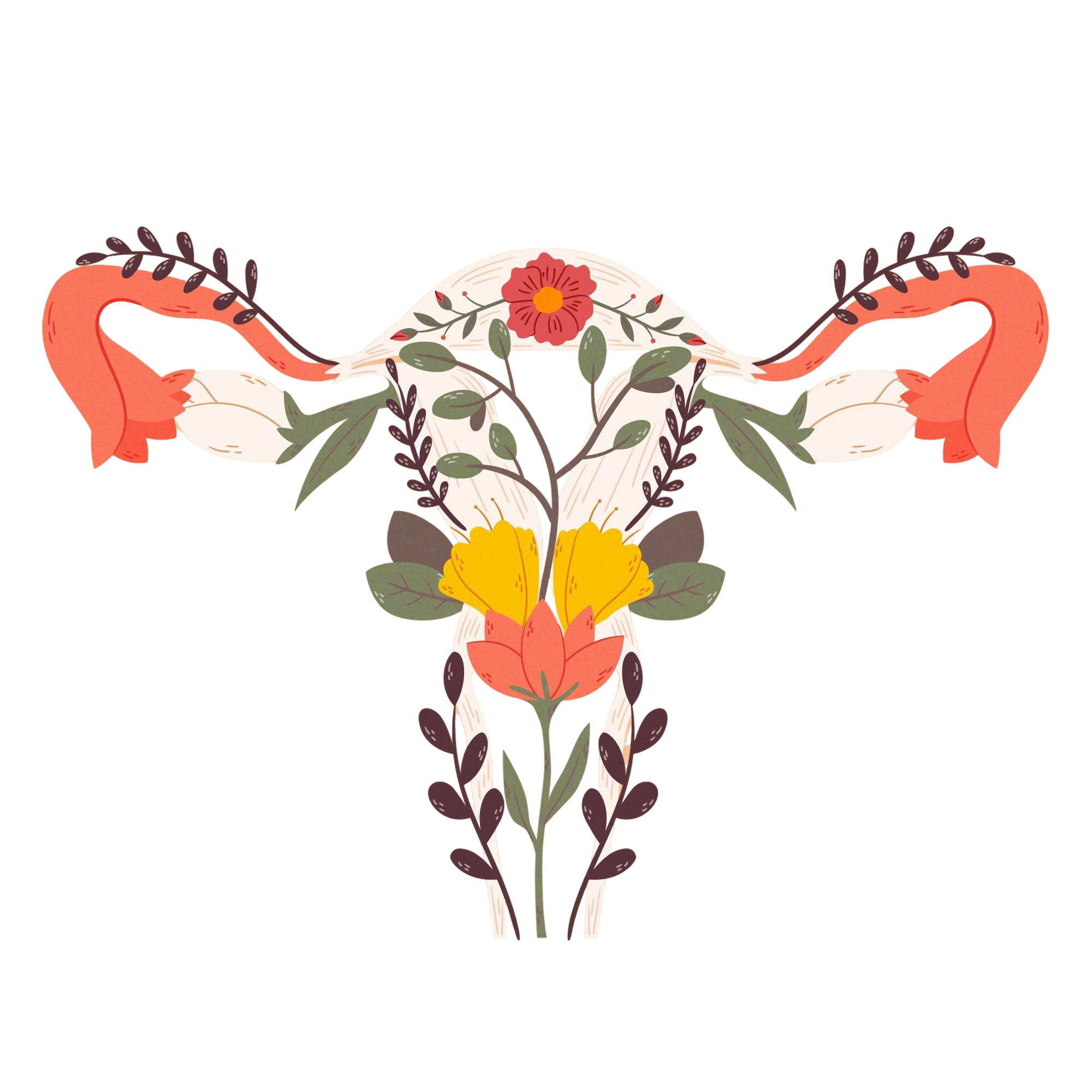 Système reproducteur féminin illustré avec des fleurs