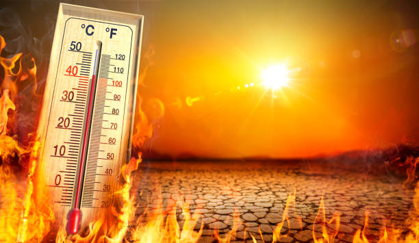 Canicule et équilibre micronutritionnel : ce que vous perdez vraiment en transpirant